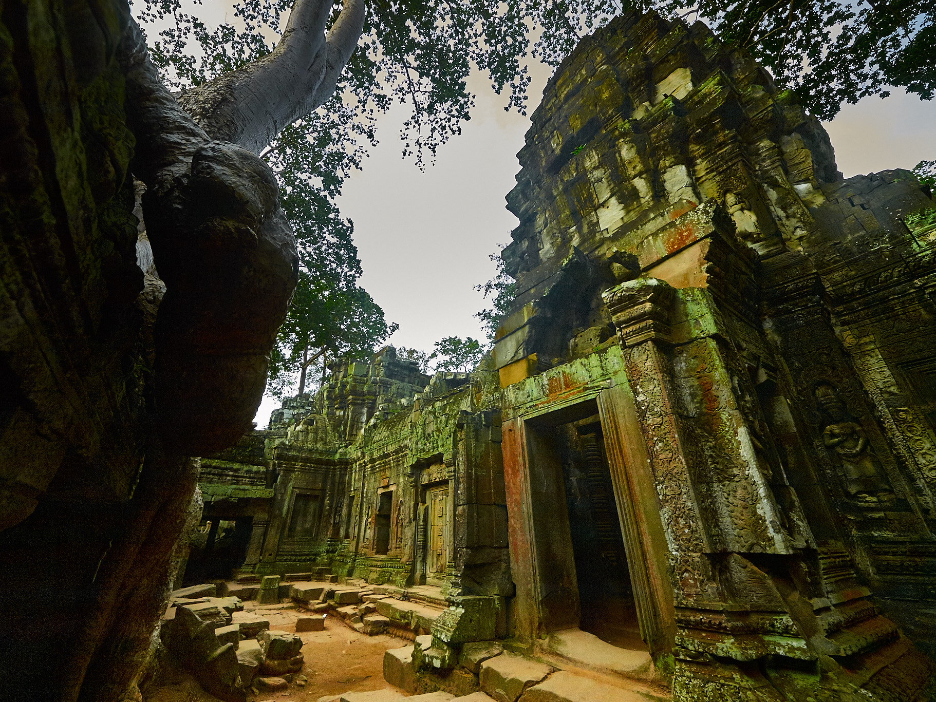 Charismatic Cambodia