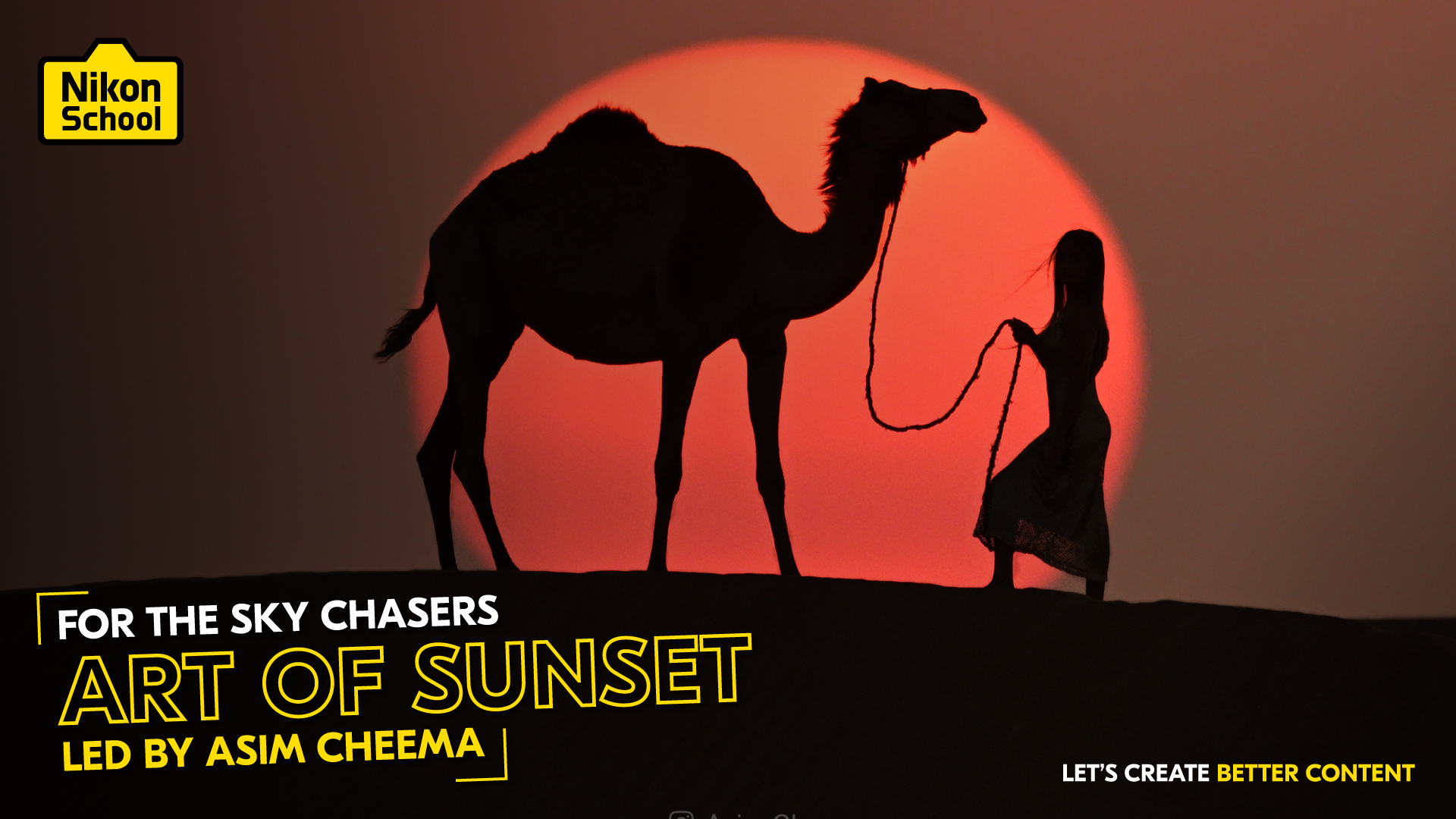 ART OF SUNSET