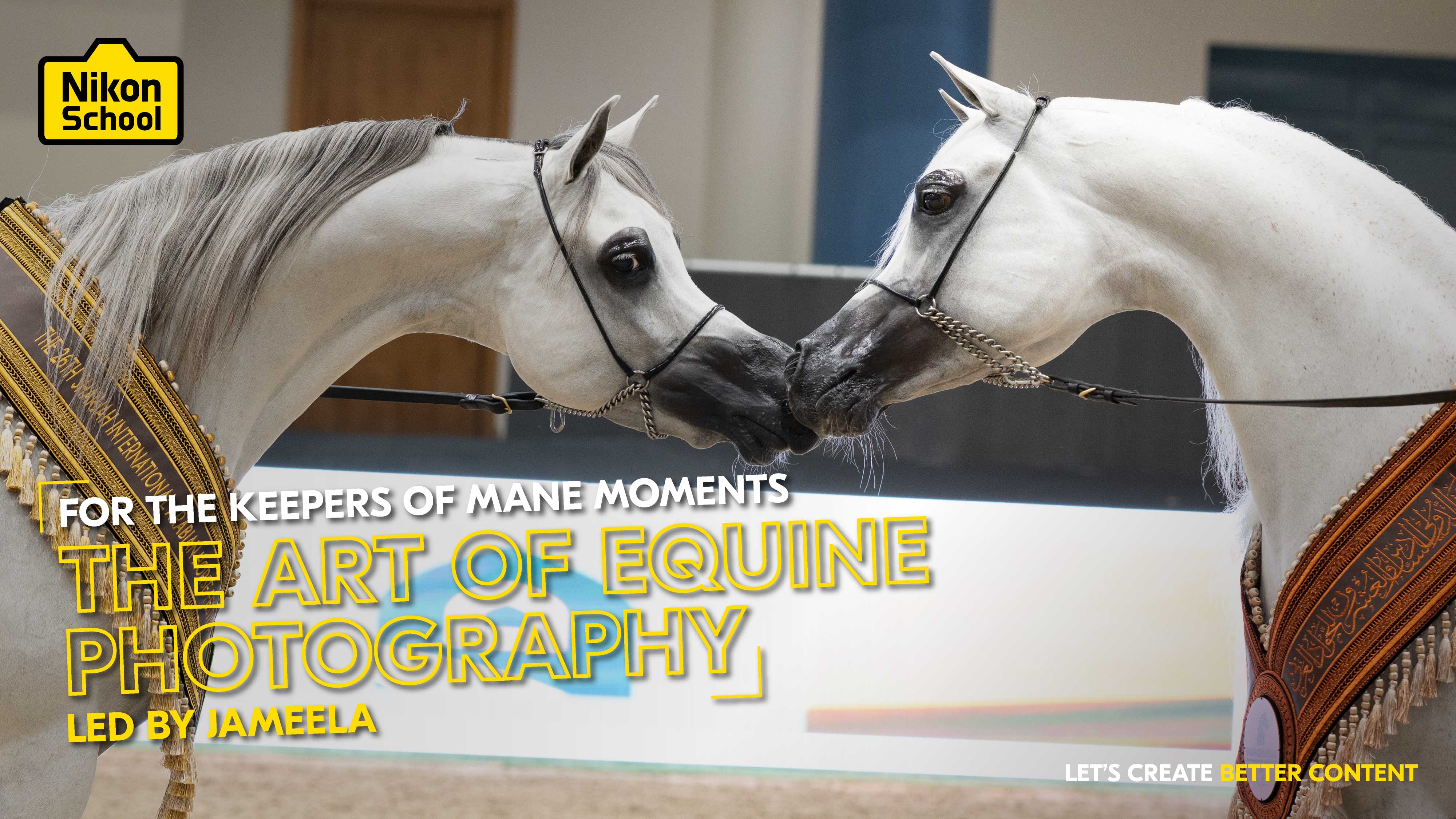 THE ART OF EQUINE PHOTOGRAPHY