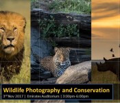 Wildlife Photography and Conservation