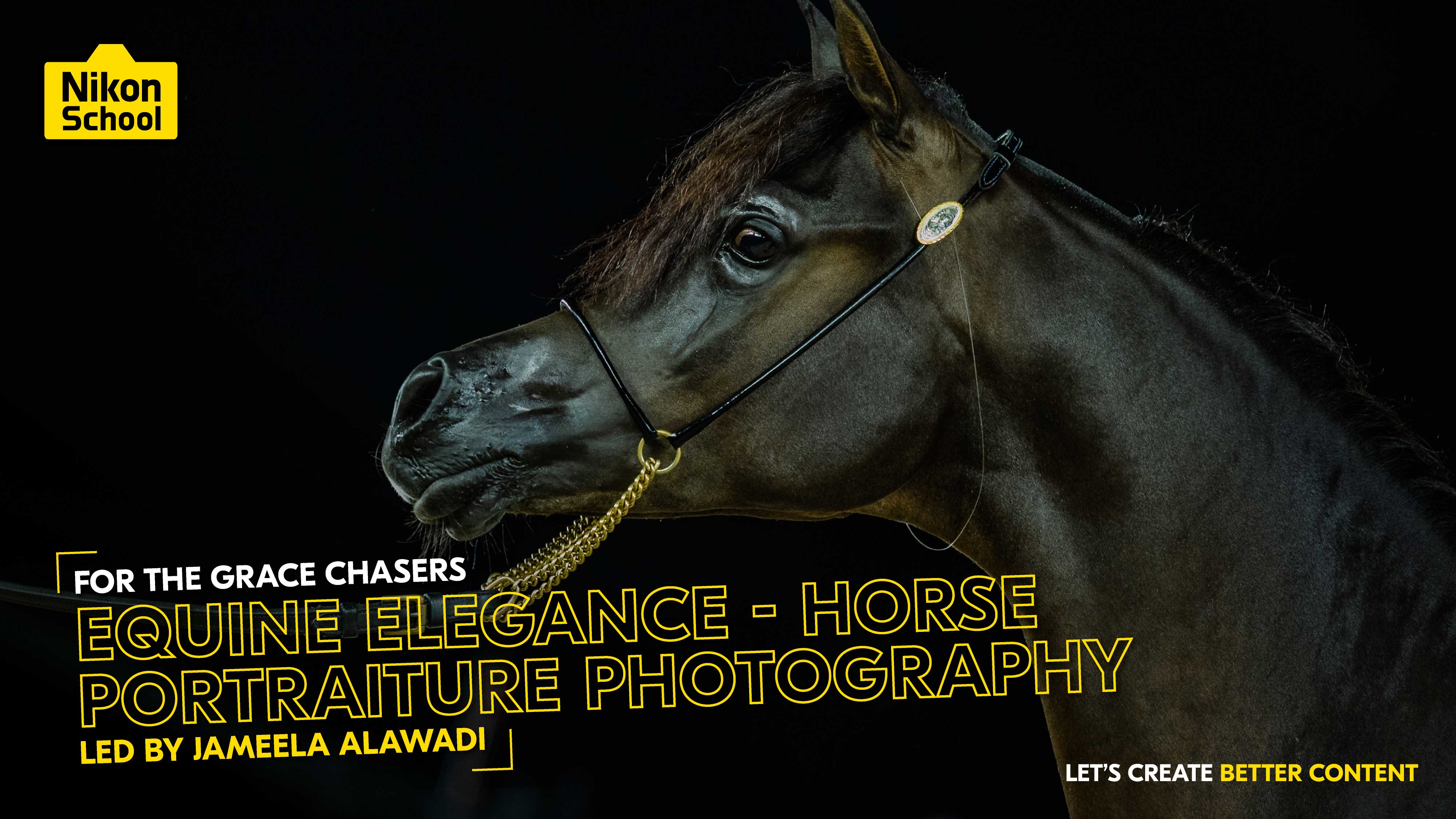 Horse Portrait Photography Workshop