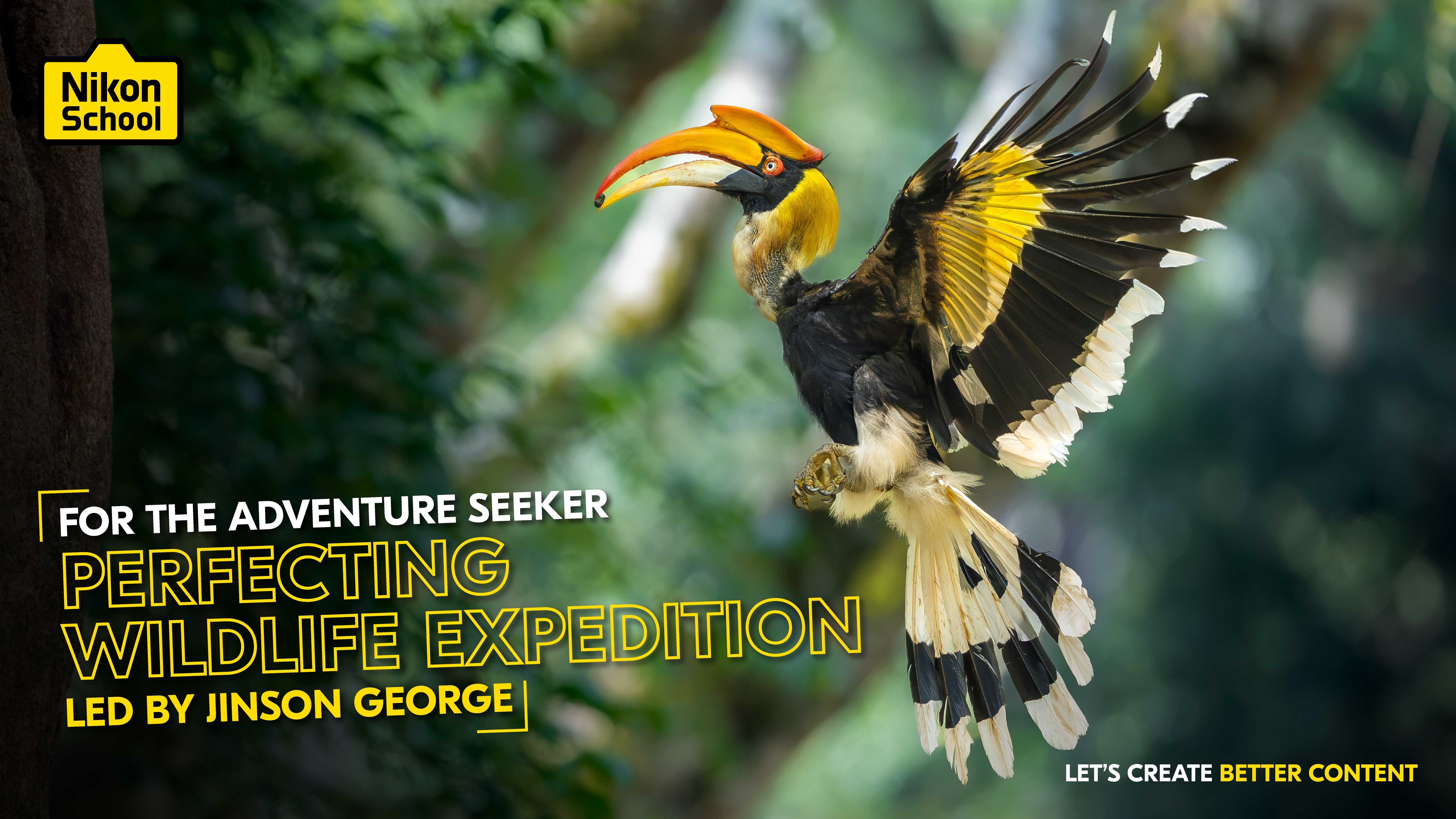 Perfecting Wildlife Expedition